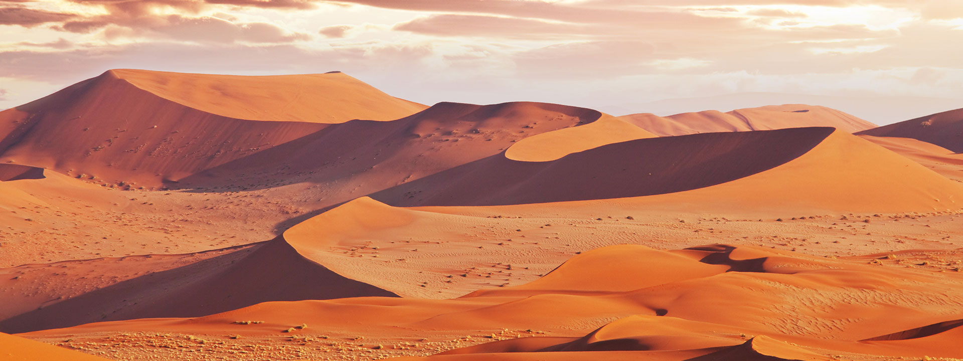 deserto